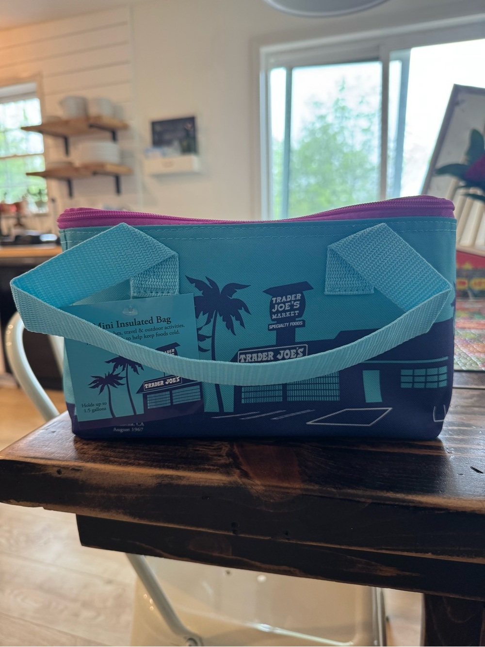 Trader Joe’s Insulated Lunch Box NWT